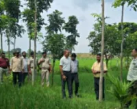 Sahibganj News: राजमहल प्रखंड में उप विकास आयुक्त ने किया विकास योजनाओं का निरीक्षण