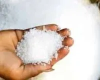 Koderma News: चीनी की कीमतों में बढ़ोतरी से बिगड़ा घरेलू बजट, गृहिणियां परेशान
