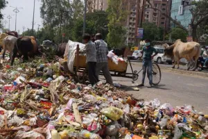 पीएमसी ने किया ठेकेदारों को लाचार, कैसे होगा स्वच्छ भारत का सपना साकार?