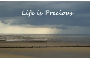 प्रीति पांडेय का प्रेरक आलेख : सुशांत सिंह की मौत से उपजे सवाल, जीवन को कैसे जिएं?
