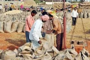 धान खरीदने को लेकर न्यूनतम समर्थन मूल्य तय, प्रति क्विंटल 182 रुपया का बोनस