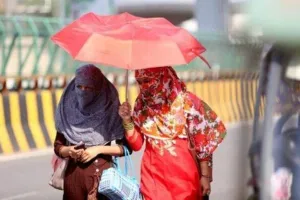 भारत-पाक में 30 गुना बढ़ा समय पूर्व हीटवेव का खतरा, समझिए महंगे गेहूं का “मौसम-शास्त्र”