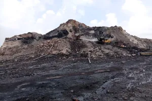 न रोकने वाला है न टोकने वाला, छाई का खेल जारी