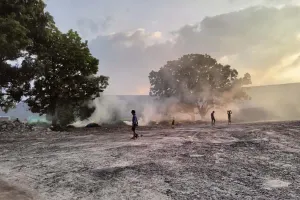 भारत का नेट जीरो होना रोजगार सृजन के साथ देगा अर्थव्यवस्था को मज़बूती