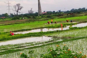 ला नीना के चलते हुई भारत में सामान्य से अधिक बारिश, फिर भी 194 जिलों में कम वर्षा