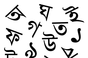 प्लस टू स्कूलों में बांग्ला भाषा शिक्षक का पद सृजित करने को लेकर भेदभाव, समिति ने किया विरोध, रखी मांग