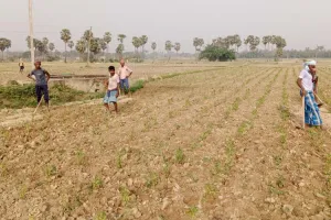 एक तिहाई भोजन पैदा करने वाले किसानों को क्लाइमेट फाइनेंस का मिलता है मात्र 0.3 प्रतिशत