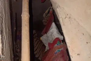 Ranchi News: आवासीय परिसर में घुसा बाघ, रेस्क्यू जारी, ग्रामीणों की सुरक्षा के मद्देनजर निषेधाज्ञा लागू