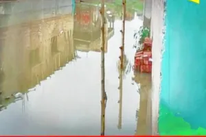 Koderma News: 48 घंटे से हो रही बारिश से जनजीवन प्रभावित, फसलों को हो सकता है नुकसान