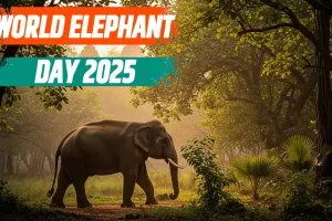 World Elephant Day 2025: भारत में हाथी संरक्षण, सफलता की कहानी और भविष्य की चुनौतियाँ