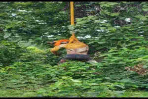 Hazaribagh News: गुलटन भुइयां का शव पेड़ से लटका मिला, चार दिन से था लापता