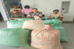 Hazaribagh News: थाना प्रभारी सरोज सिंह चौधरी का बड़ा एक्शन, भारी मात्रा में डोडा के साथ एक तस्कर को किया गिरफ्तार