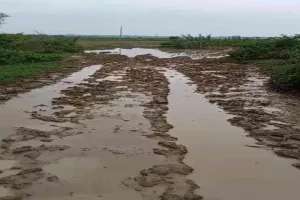 Hazaribagh News: केदली से खेल मैदान तक का मार्ग कीचड़ में तब्दील, ग्रामीण परेशान