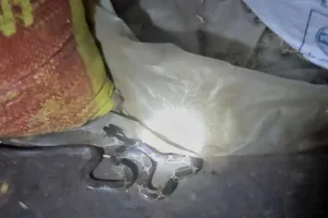 Hazaribagh News: दो लोगों को जहरीले सांप ने काटा, हुए रिम्स रेफर