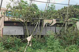 Hazaribagh News: करोड़ों की लागत से बनीं 100 दुकानें, चार साल बाद खंडहर में हुई तब्दील