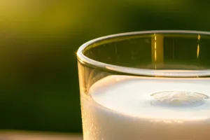 5-7 हजार रुपये लीटर बिकता है इस जानवर का दूध, इसके फायदे सुनकर रह जाएंगे हैरान!