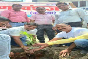Koderma News: ग्रीन तिलैया क्लीन तिलैया अभियान के तहत झुमरीतिलैया में पौधा रोपण