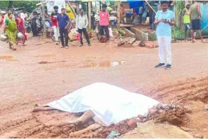 Chaibasa News: करंट लगने से तीन पशुओं की मौत