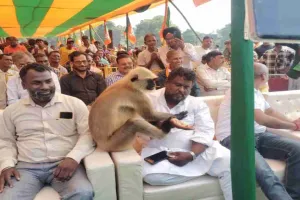 घाटशिला चुनावी सभा में लंगूर बना अप्रत्याशित मेहमान