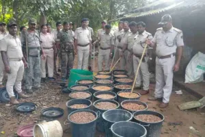 Chaibasa News: पुलिस-उत्पाद विभाग की कार्रवाई, 8000 किलोग्राम महुआ और 900 लीटर शराब बरामद 