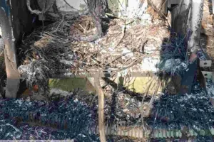 Chaibasa News: एक बार फिर नक्सलियों का आतंक लौटा, एयरटेल टावर को फूंका