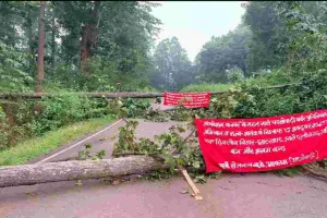 Chaibasa News: सारंडा में नक्सलियों ने सड़क पर पेड़ गिराकर लगाया जाम