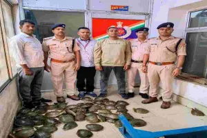 ऑपरेशन WILEP के तहत आरपीएफ ने दून एक्सप्रेस से 78 जीवित कछुए बरामद किए