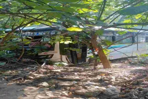 Koderma News: ओवरटेक के दौरान बड़ा हादसा: छात्राओं से भरी बस गिरी खाई में, डेढ़ दर्जन से अधिक छात्राएं घायल