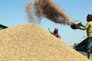 साहिबगंज में शुरू हुई धान की खरीद, 25 से अधिक केंद्र तैयार