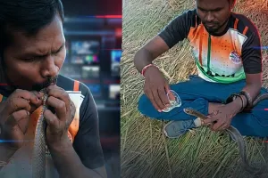 वलसाड में युवक ने मुंह-से-मुंह CPR देकर सांप को बचाया, वीडियो वायरल