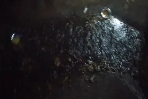 Sahebganj News : पूर्वी और पश्चिमी फाटक इलाके में सफाई व्यवस्था ध्वस्त, बढ़ा बीमारी का खतरा