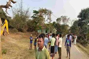 Pakur News : पत्थरघाटा गांव में लैंप्स निर्माण को लेकर ग्रामीणों का जोरदार हंगामा