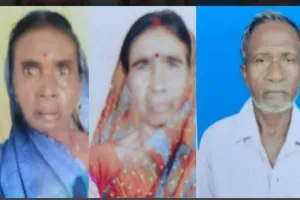 गोमिया में हाथियों का कहर, एक परिवार के तीन सदस्यों को कुचलकर मार डाला