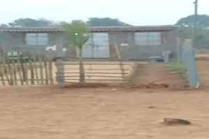 Giridih News: खतियानी जमीन पर अवैध कब्जे का मामला हाईकोर्ट पहुंचा