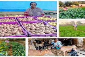 30 हजार के ऋण से 1.21 लाख की कमाई: मेरी किंडो की सफलता कहानी