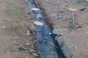 सरिया नगर पंचायत: नई कॉलोनियों तक सीमित विकास, पुराने गांवों में उपेक्षा