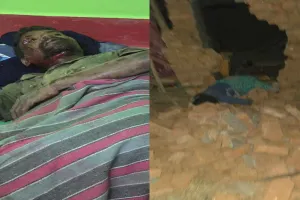 Hazaribagh News : कजरी गांव में हाथियों का हमला, एक व्यक्ति की मौत