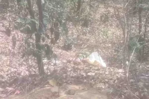 Koderma News: पैरी माइंस के पास बोरे में मिला महिला का शव, हत्या की आशंका