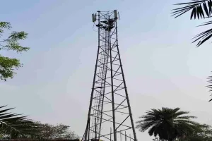 Pakur News: एयरटेल टावर बना 'शोपीस', 5G के दौर में 2G जैसी स्पीड से ग्रामीण परेशान