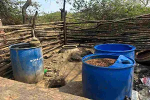 Hazaribagh News: चौपारण में उत्पाद विभाग का बड़ा एक्शन: 2 टन जावा महुआ किया गया नष्ट