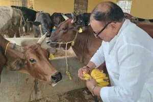 Koderma News: चैत्र नवरात्रि पर समाजसेवी वीरेंद्र यादव ने गौ-सेवा से की नववर्ष की शुरुआत