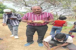 Sahebganj News: राजमहल की पहाड़ियों में भूवैज्ञानिक रहस्यों की खोज, छात्रों ने किया विस्तृत अध्ययन