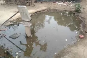 Pakur News: चापाकल का पानी पीने योग्य नहीं, सोख्ता निर्माण की मांग