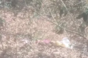 Koderma News: मेघातरी के पास बोरे में बंद मिला महिला का अर्धनग्न शव, हत्या या साजिश?