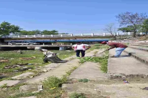 Palamu News: छठ पर्व पर घाटों की सफाई, नगर अध्यक्ष भी उतरे मैदान में