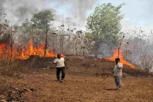 Koderma News: भीषण आग से हड़कंप, दमकल की टीम ने कड़ी मशक्कत के बाद पाया काबू