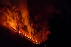 Koderma News: जंगलों में आग का कहर, वन विभाग पर लापरवाही के आरोप