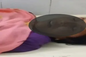 Koderma News: खेत में गेहूं की फसल उठा रही महिला को सांप ने डसा, अस्पताल में हुई मौत