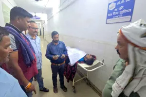 Koderma News: हाथियों का 'खूनी' तांडव: 10 दिनों में 4 लोगों को उतारा मौत के घाट, दहशत में लोग