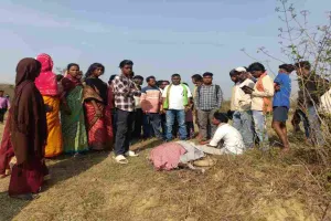 Ramgarh News: हाथियों का खूनी तांडव: तीन ग्रामीणों को कुचला, इलाके में भारी दहशत